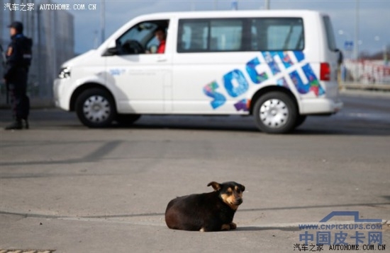 大众唱主角 冬奥会上出现的那些车