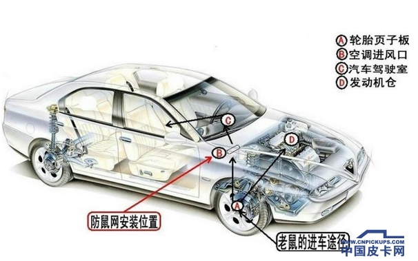 防燃、防水、防盗 皮卡车主还得防老鼠