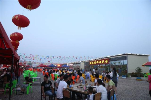 点亮丝绸之路 2017中国（国际）汽车旅游大会宁夏秀出好风景