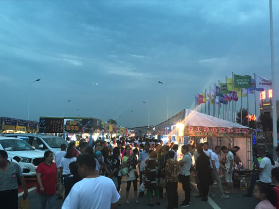 风起星海湖，尘遮贺兰山 中国（国际）汽车旅游大会石嘴山站胜利开幕