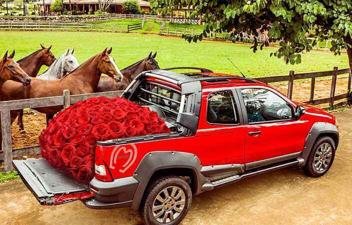 能想到的最浪漫的事  是用皮卡拉一车斗玫瑰花约会