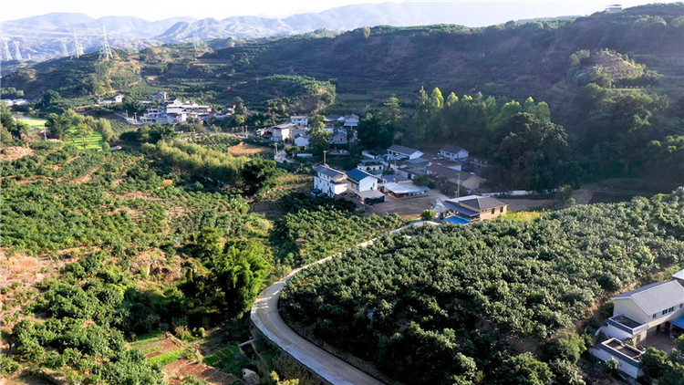 大山深处的彝族乡 探秘“皮卡村”