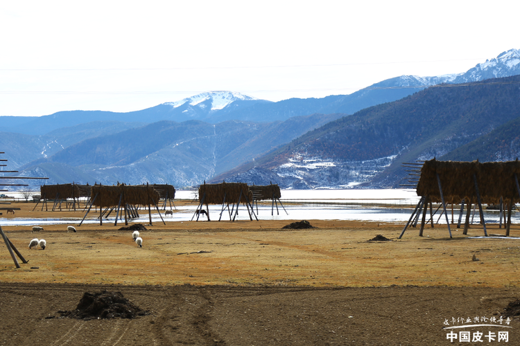 穿雪山 过雨林 长安凯程F70征服滇西之旅游记