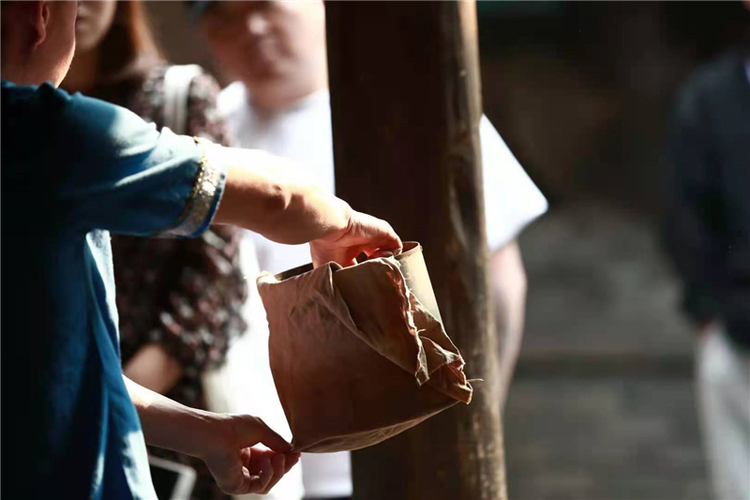 茶马古道新旅人 长城皮卡探访“古茶之王”