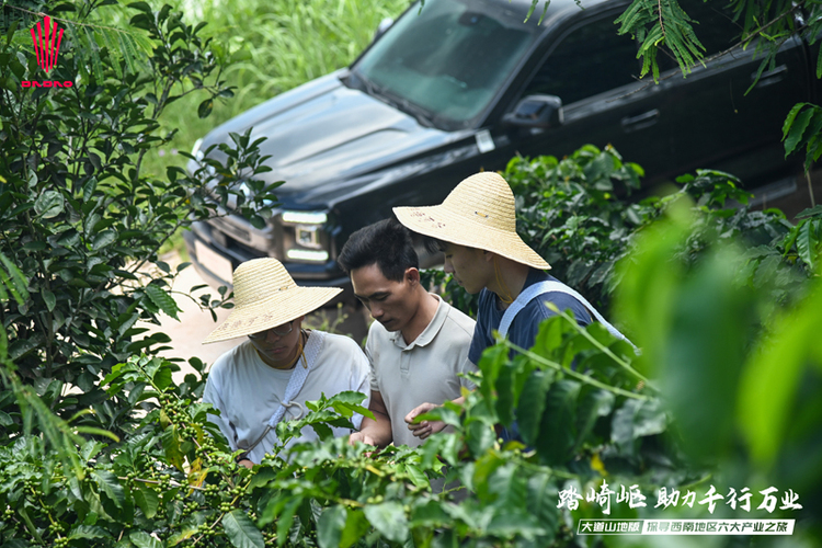 从咖啡开始 江铃大道山地强实力赋能山地产业