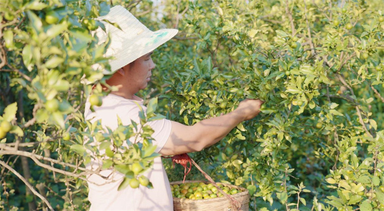 为黯淡无光注入活力与希望！“点亮计划”在岁月流转中焕发乡村新生