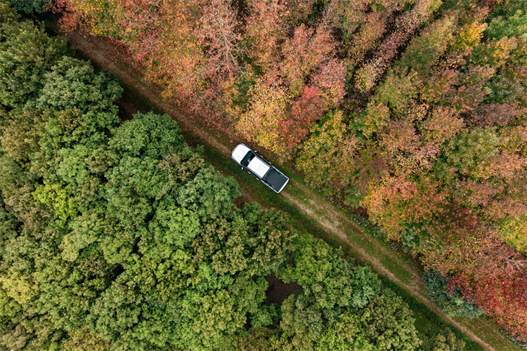 踏崎岖助力千行万业，江铃大道山地版解锁昆明鲜花“美丽经济”的“运输密码”