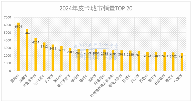 销量增长止步难掩蓝海市场潜力，2024年国产皮卡市场解析