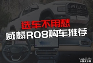 面对将近20款车型应该如何选择？ 威麟R08购车推荐