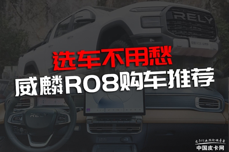 面对将近20款车型应该如何选择？ 威麟R08购车推荐